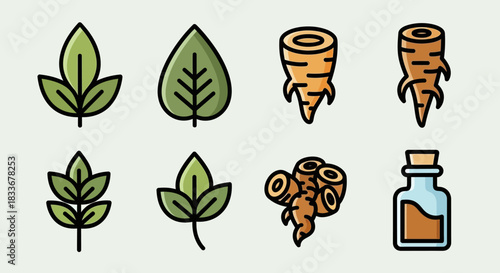 Botanical Elements - Leaves, Roots, and Herbal Remedy Illustration.