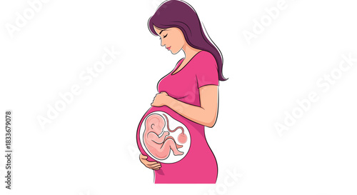 An illustration of a pregnant woman in a pink dress, gently holding her belly, with a transparent view showing a fetus inside her womb.