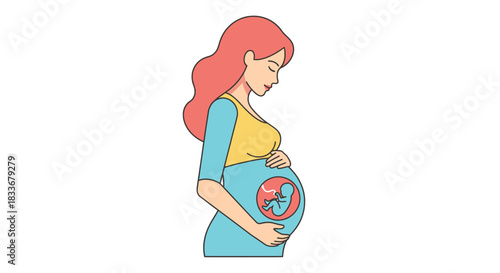Illustration of a pregnant woman with a visible fetus in her womb.