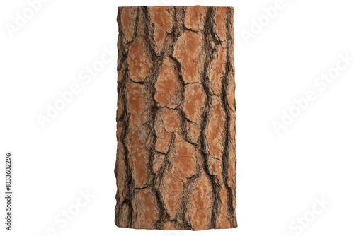 Pine tree bark texture close-up on transparent background displaying nature, wood, and forest concepts