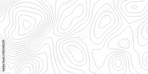 white topography map geography relief diagram texture design. Topography white background and black line world map texture design. Lines Topographic contour lines grid map seamless pattern.	