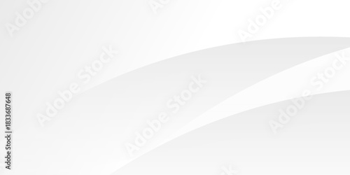 Modern white background with curve crease abstract
