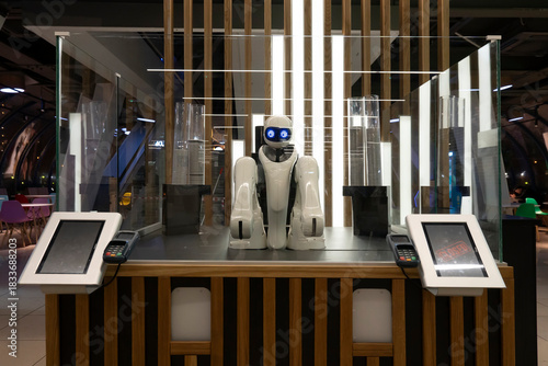 Photography robot salesman