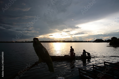 Amazon jungle river with fishing boat and green parrot standing on trunk at sunset, Brazil.
