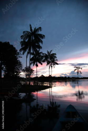 Landscape of Amazon jungle river with sailing boat and coconut palm tree during sunset in Brazil