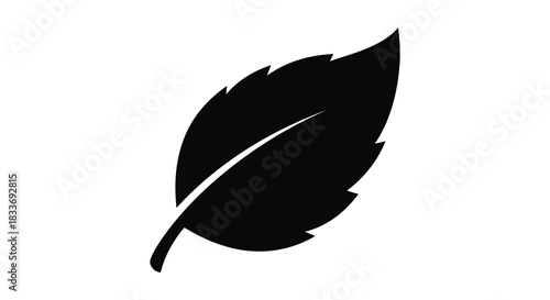 A single detailed leaf graphic is prominently displayed against a clean white background silhouette