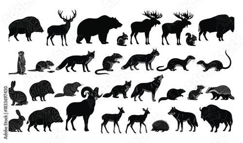 Extensive wild animal silhouettes collection on white, diverse mammals vector