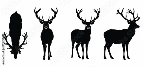 Stag deer silhouettes set: top, front, three-quarter, side view wildlife