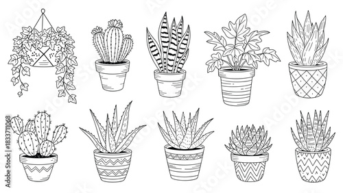 Hand-drawn collection of various potted house plants, including cactus, aloe vera, and snake plant, in a black and white doodle style.