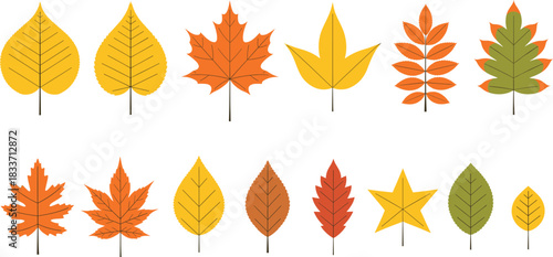Large Collection of Flat Design Vector Autumn Leaves in Traditional Seasonal Colors, Featuring Various Simple Shapes Like Maple, Aspen, and Oak Leaves in Orange, Yellow, and Red Hues