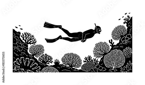 Snorkeler Exploring a Coral Reef