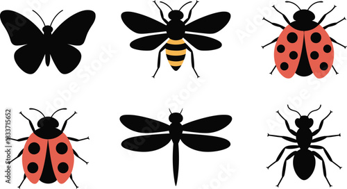 Collection of insect species: butterfly, bee, ladybug, ant, and dragonfly in color