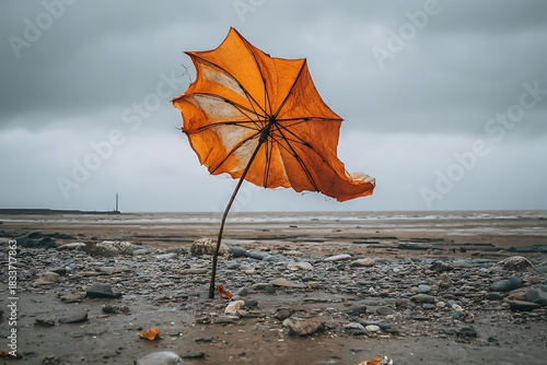 umbrella on the beach