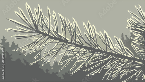 Close up of pine tree branch with ice crystals winter nature landscape evergreen forest christmas tree art