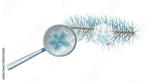 Explore winter nature with magnifying glass examining snowflakes on pine tree branch close up for winter season
