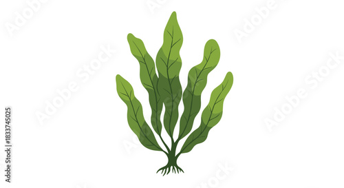 A stylized illustration depicting a vibrant green aquatic plant, like seaweed or an underwater flora, with flowing leaves and root structure on white.