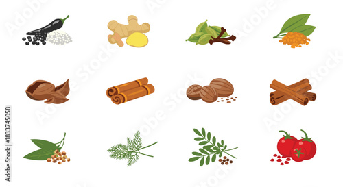 A vibrant assortment of culinary spices, fresh herbs, and various cooking ingredients for enhancing flavor in diverse dishes.