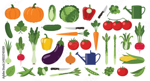 A wide variety of fresh, colorful vegetables and essential gardening tools, perfect for healthy eating and cooking concepts.