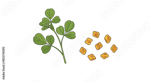 Fenugreek plant sprig with fresh green leaves and a pile of aromatic dried fenugreek seeds used in cooking and traditional medicine.