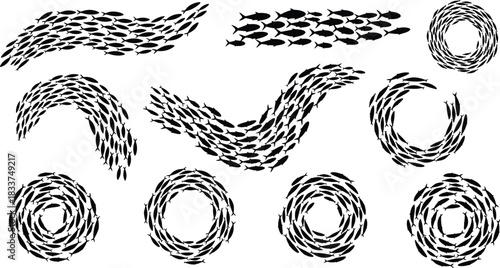 Multiple Schools of Fish Silhouettes in Dynamic Swirls and Lines school of fish animal