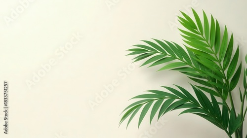 Serene Green Palm Fronds on a Soft Beige Background, Perfect for Minimalist Designs and Natural-Themed Projects