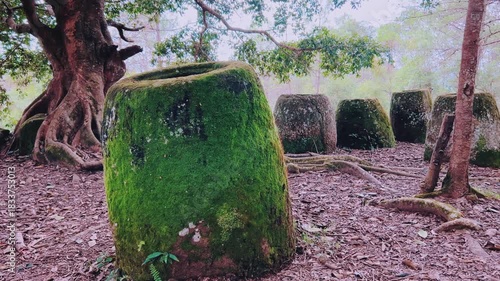 Valley of the Jars, Laos. Phongsavan. Valley of the Jars. The megalithic archaeological landscape consists of thousands of stone jars scattered across the Xiangkhouang Plateau. 4К