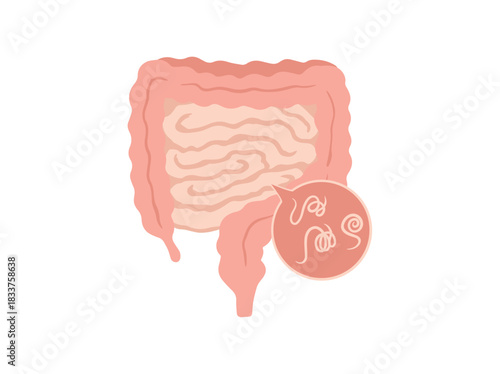 Human Intestinal Worms Parasite