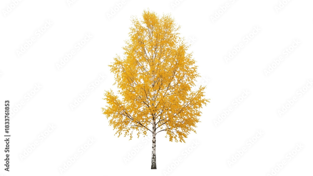 Fototapeta premium Bright Yellow Autumn Tree Isolated on White Background