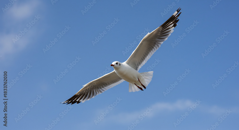 Obraz premium . AI Generated