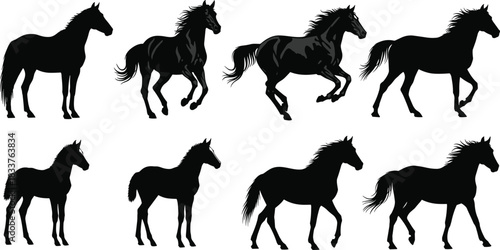 Horse Silhouettes Vector Set Featuring Running, Galloping, and Standing Stallions and Foals