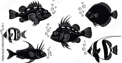 Marine fish silhouette collection vector illustration of various tropical and ocean fish species isolated on white.