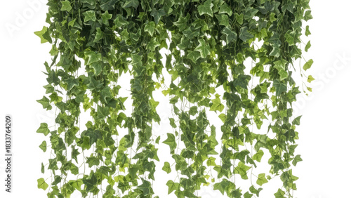 Lush Green Ivy Vine with Cascading Leaves for Home Decor Display