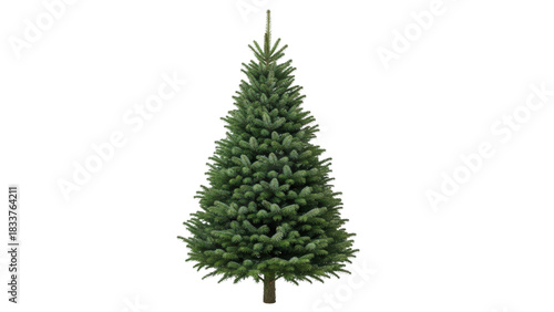 Lush Green Christmas Tree with Full Branches Isolated on White Background