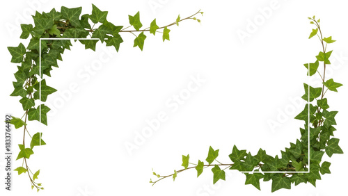 Fresh Green Ivy Leaves Wreath Decoration for Home and Garden