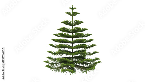 Lush Green Tree with Layered Branches Isolated on White Background