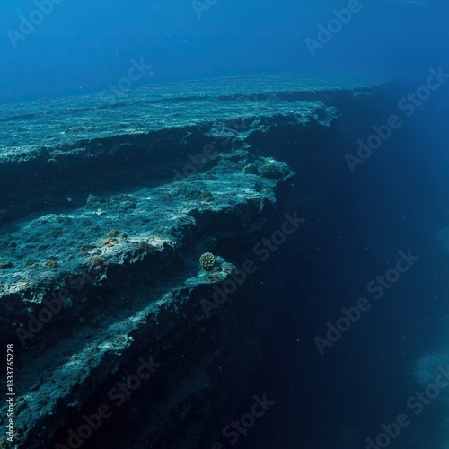 Vast underwater landscapes of the deep sea continental slope, sculpted by powerful currents, reveal mysterious geology and diverse marine habitats ,rock ,ocean ,canyon