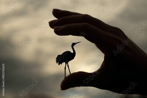 Silhouette of a bird in hand