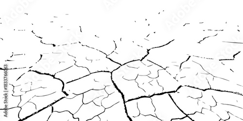 High-contrast cracked earth texture in black and white. Detailed dry soil pattern showing deep fractures and arid surface. Perfect for backgrounds, drought concepts, textures, and environmental design