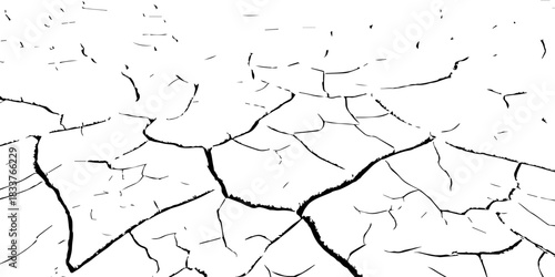 High-contrast cracked earth texture in black and white. Detailed dry soil pattern showing deep fractures and arid surface. Perfect for backgrounds, drought concepts, textures, and environmental design