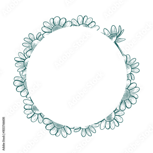 Round frame with daisy flowers and stems. Vector round frame with peeking out flowers in line art style. Trendy colors used. Botanical illustration.
