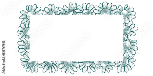 A rectangular frame with space for text and blooming chamomile. This vector frame features a line art style and a botanical illustration of wildflowers.