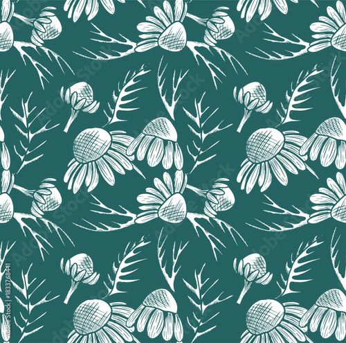 A seamless vector pattern with chamomile flowers and leaves arranged in an interesting pattern on a turquoise background. A monochrome botanical illustration featuring wildflowers.