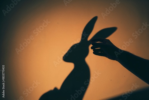 Shadow of a rabbit hand puppet
