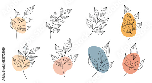 Collection of hand-drawn botanical branches and leaves with abstract color shapes in a minimalist and modern boho art style.