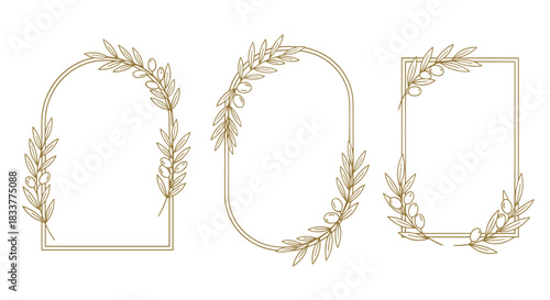 Set of elegant geometric frames with hand-drawn olive branches perfect for wedding invitations logos and branding projects.