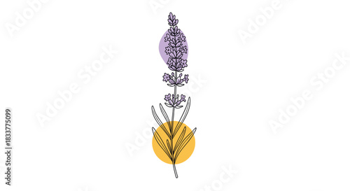 Minimalist line art illustration of a lavender sprig with abstract purple and yellow watercolor spots creating a modern design.