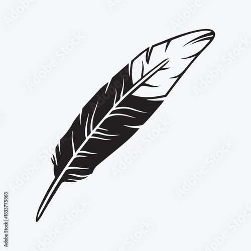 Black and white bird feather of a bird wings