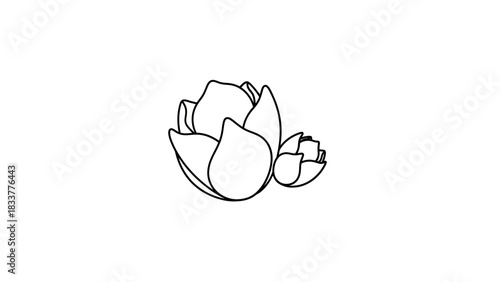 peace symbol on a white background