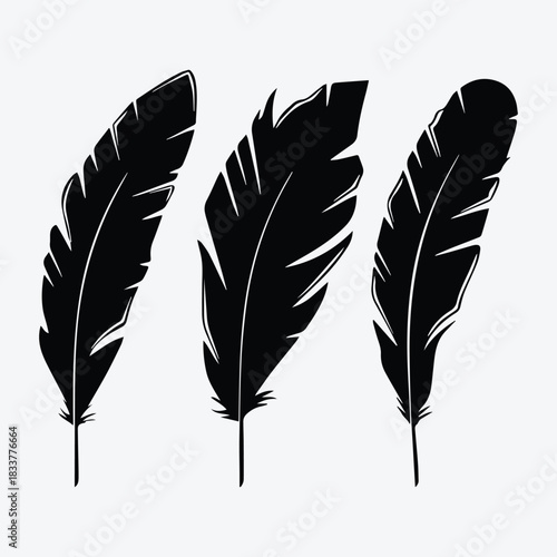 Black feather bird vector icon