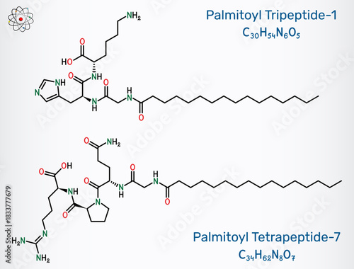Polyacyl anti-aging cosmetic peptides palmitoyl tripeptide-1 and palmitoyl tetrapeptide-7 molecule. Vector illustration